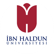 İbn Haldun Üniversitesi