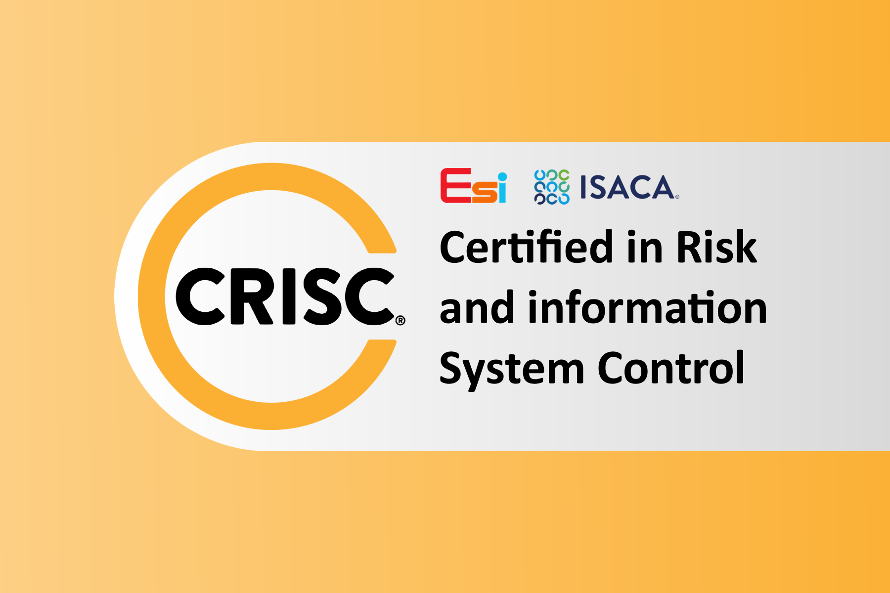 Certified in Risk and Information Systems Control (CRISC)