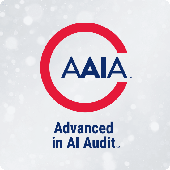 Advanced in AI Audit (AAIA)