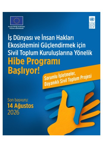 İş Dünyası ve İnsan Hakları Hibe Programı