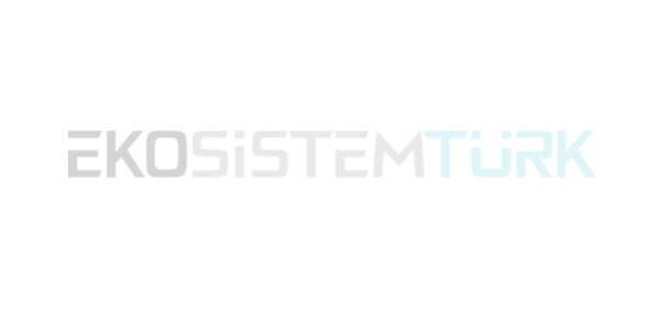 SaaS’ta Müşteri Başarısı (Customer Success)